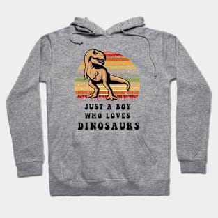 just a boy who loves dinosaurs Hoodie